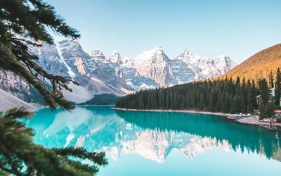 Comment convertir webp en jpg ?