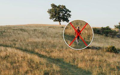Photoshop, comment enlever une personne d’une photo ?