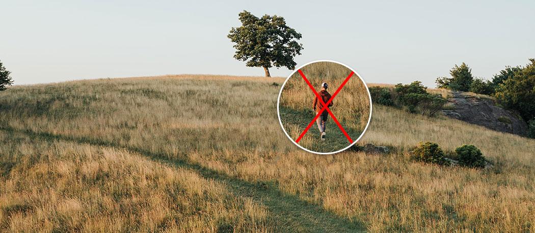 Photoshop, comment enlever une personne d’une photo ?