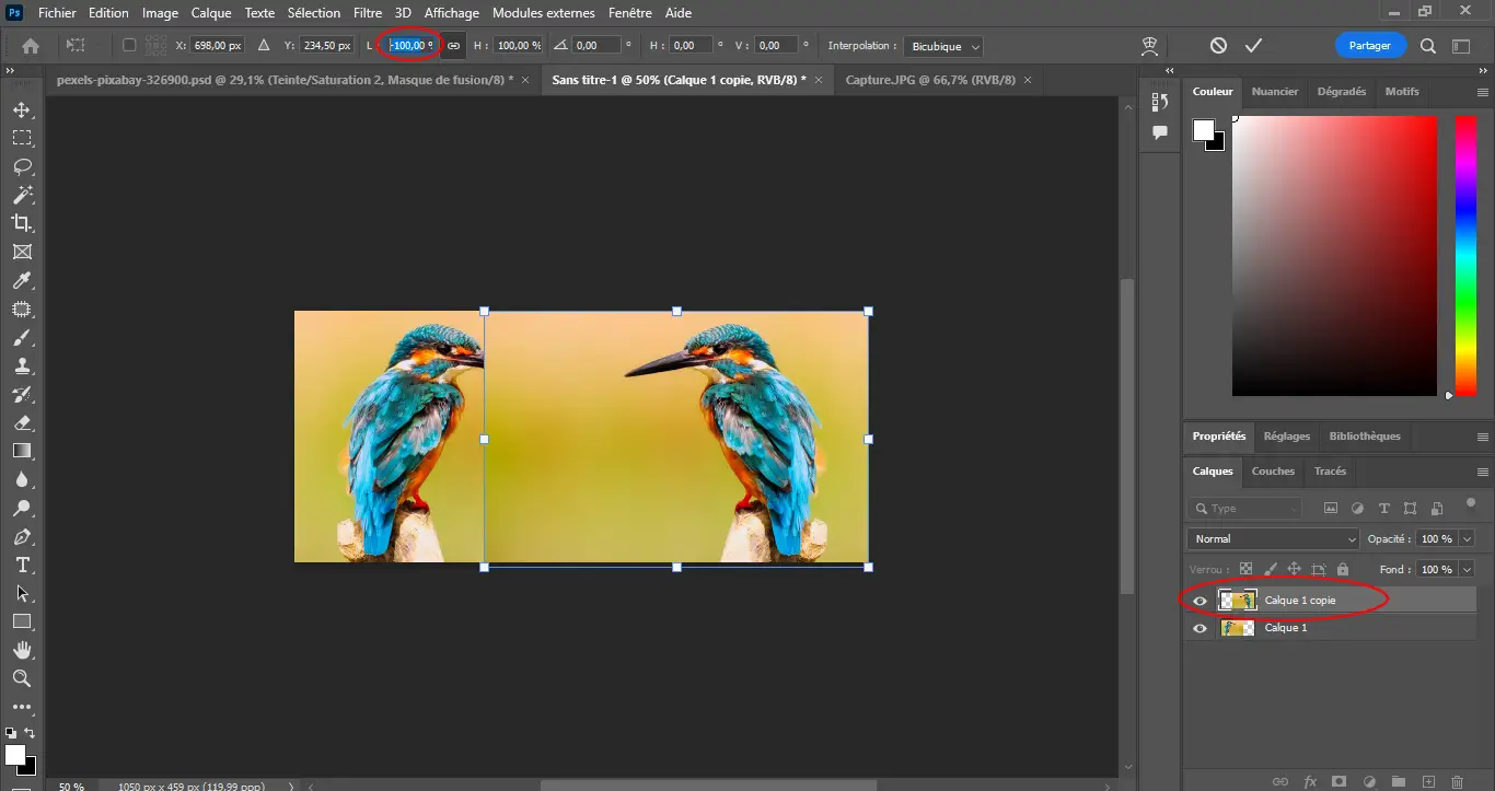 Photoshop faire une symétrie sur une image Photoshop faire une symétrie sur une image