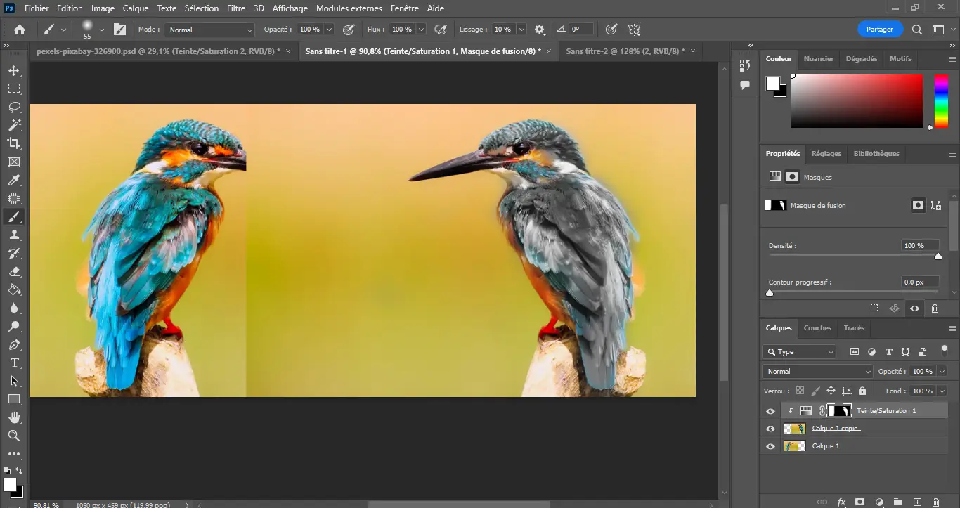 Teinte d'un objet dans Photoshop Teinte d'un objet dans Photoshop